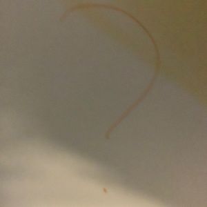 Mystery box 10-30 things